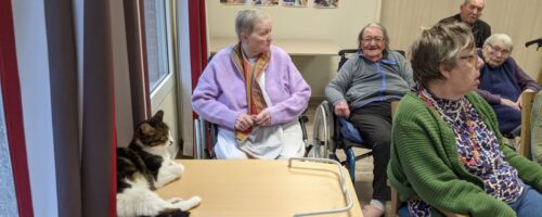 PXL_20260205_154206294.MP PXL_20260205_154206294.MP