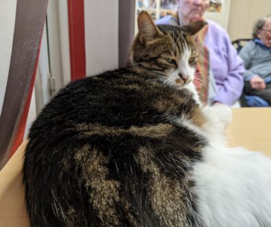 PXL_20260205_154245843.MP